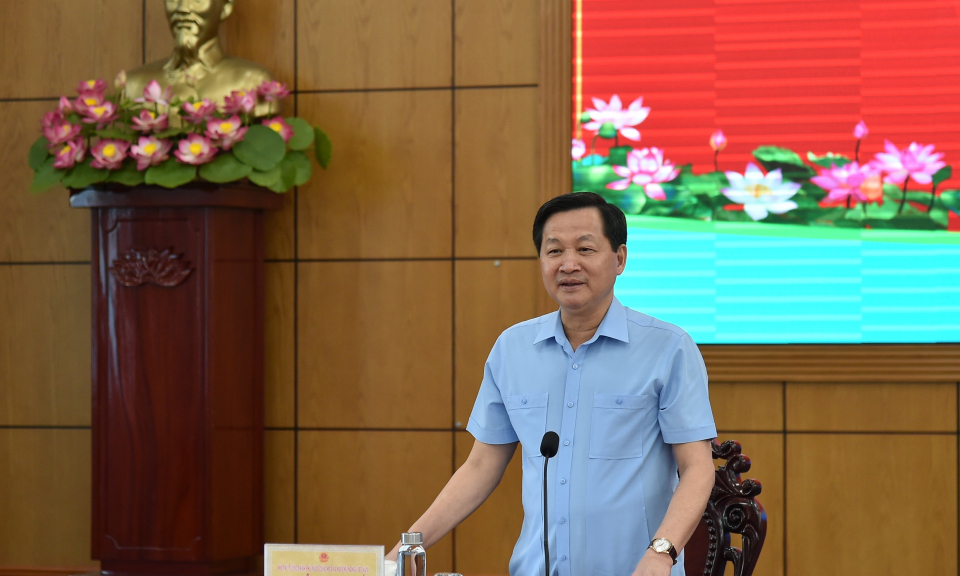 Phó Thủ tướng Lê Minh Khái chỉ đạo xử lý Dự án Nhà máy bột giấy Phương Nam