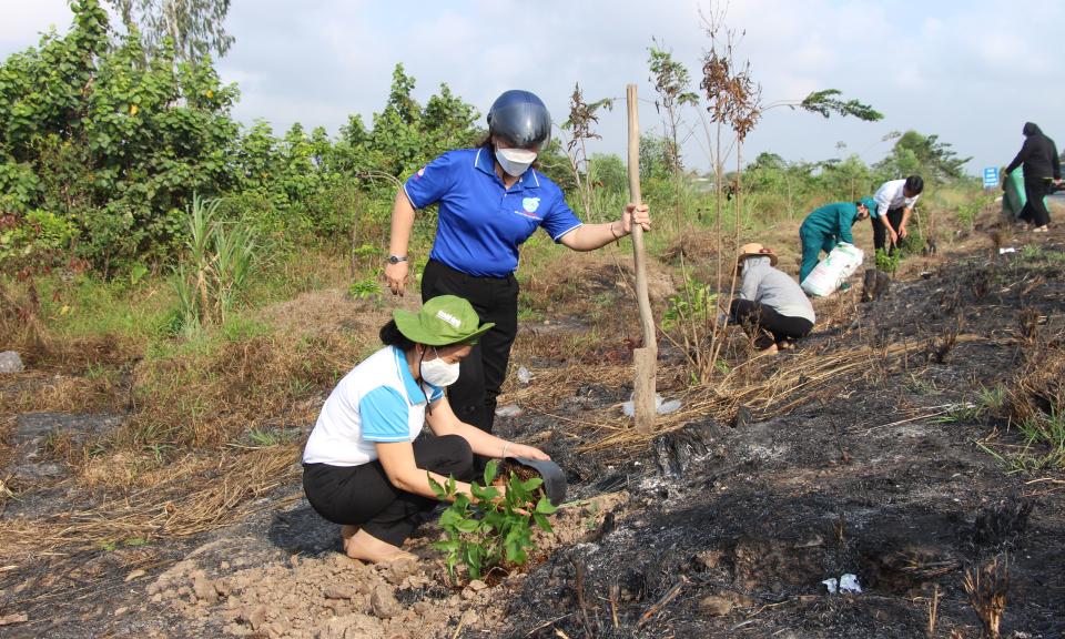 Thủ Thừa: Hội Liên hiệp Phụ nữ tỉnh phát động trồng cây xanh.