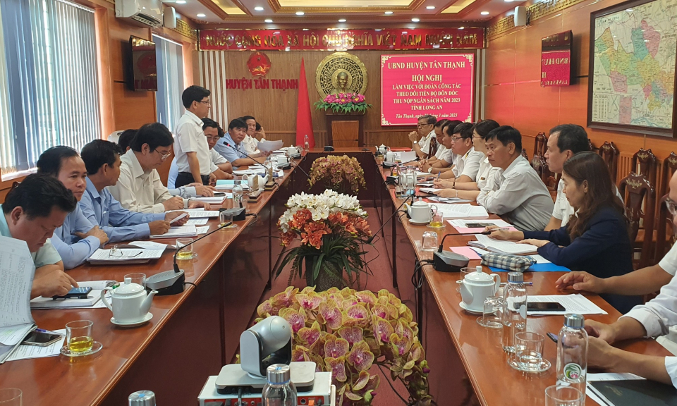Đoàn công tác tỉnh kiểm tra công tác thu ngân sách Nhà nước tại huyện Tân Thạnh