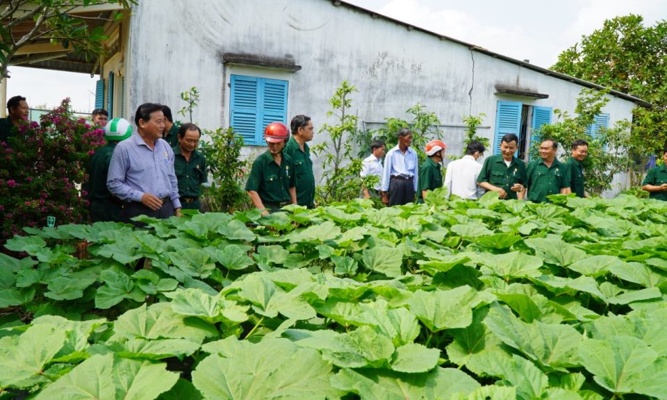 Cần Giuộc tổng kết hoạt động CLB Cựu chiến binh - Cựu quân nhân làm kinh tế