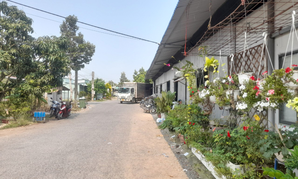 Tân Thạnh: Hợp tác xã Tường Xuyên giải quyết việc làm cho người lao động