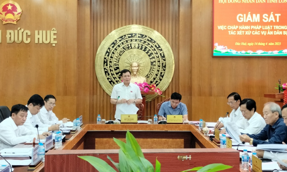 HĐND tỉnh giám sát việc chấp hành pháp luật trong công tác xét xử các vụ án dân sự tại Đức Huệ