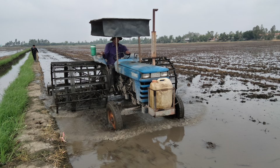 Nông dân Tân Hưng tập trung chuẩn bị xuống giống vụ lúa hè thu năm 2023