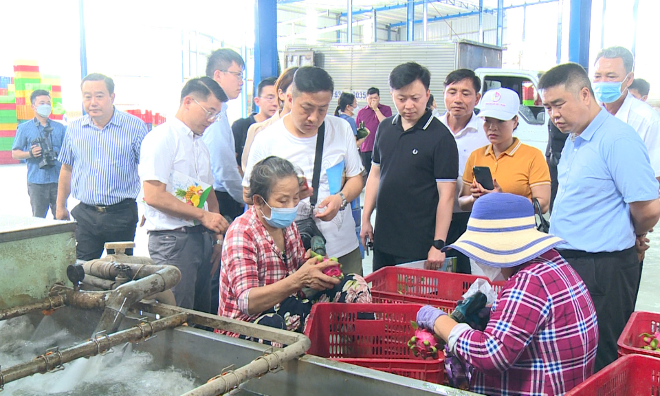 Đoàn công tác Trung Quốc khảo sát, kết nối giao thương tại Long An