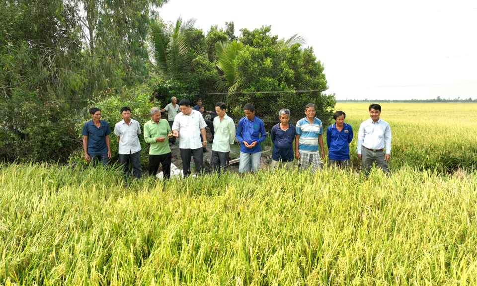 Tân Thạnh phát triển nông nghiệp công nghệ cao góp phần xây dựng nông thôn mới 