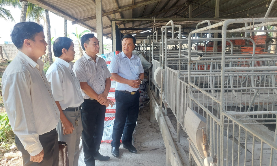 HĐND tỉnh Long An khảo sát, giám sát di dời các cơ sở chăn nuôi ra  khỏi khu vực trung tâm thành phố