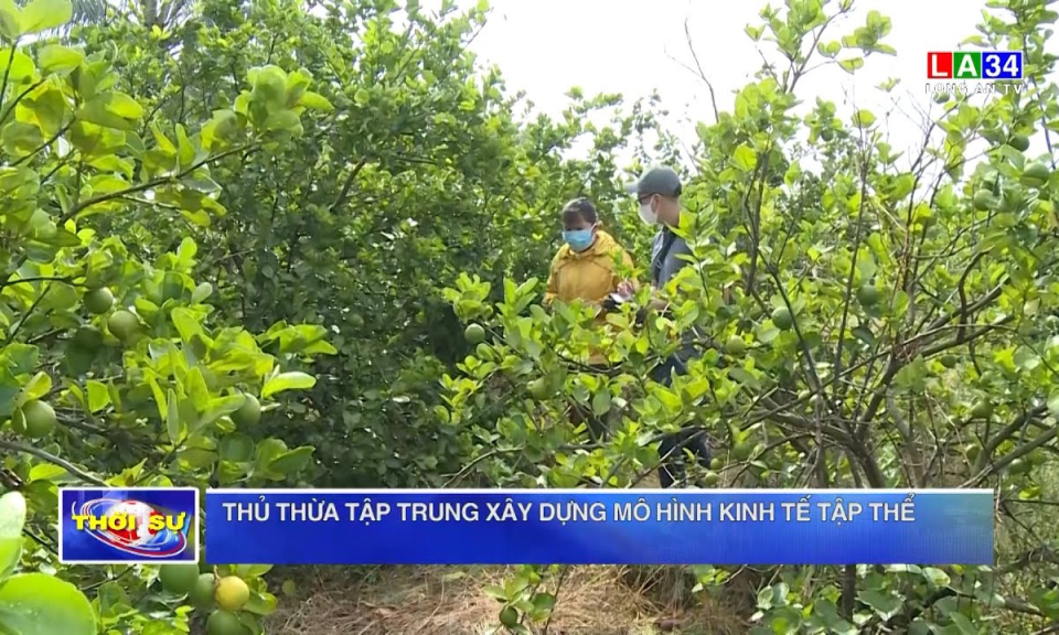 Thủ Thừa tập trung xây dựng mô hình kinh tế tập thể