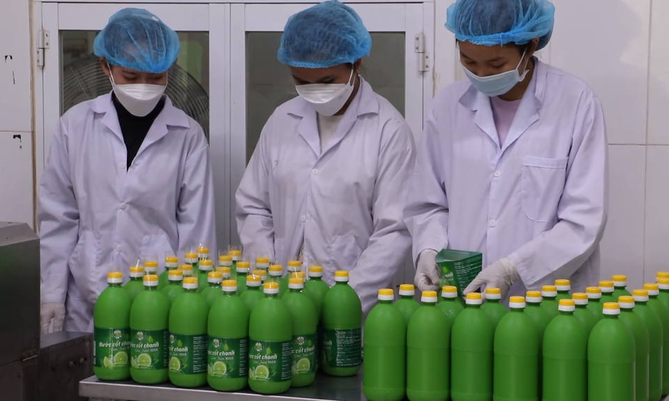 Long An đẩy mạnh nhiều giải pháp thực hiện chuỗi cung ứng thực phẩm an toàn