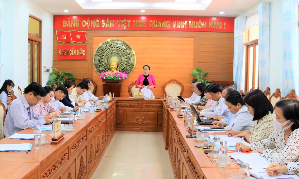 HĐND tỉnh giám sát về cải thiện môi trường đầu tư tại Cần Đước
