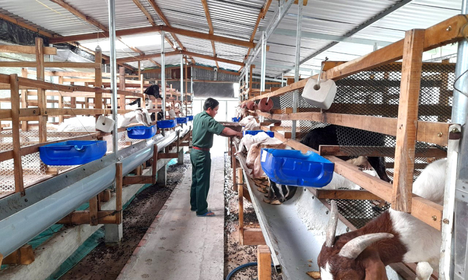 Tân Thạnh tổng kết Câu lạc bộ Cựu chiến binh - Cựu quân nhân làm kinh tế huyện giai đoạn 2020-2023