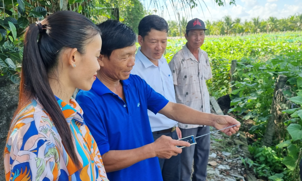 Thành phố Tân An tổng kết mô hình “Tưới nước tiết kiệm trên cây rau” 