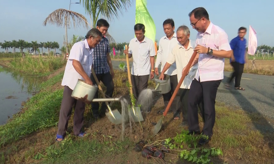 Thị trấn Tân Trụ phát động trồng cây nhớ Bác