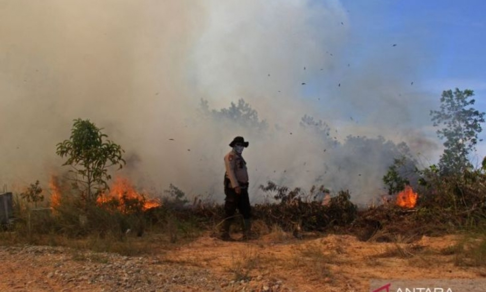 Indonesia làm mưa nhân tạo chống cháy rừng