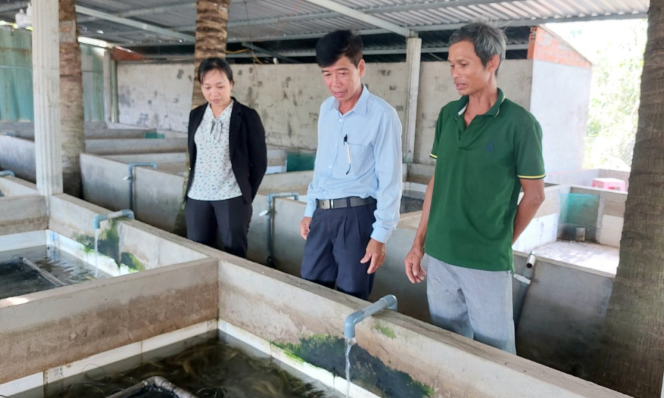 Tân Hưng: Hiệu quả mô hình nuôi rắn, lươn