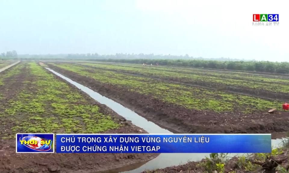 Chú trọng xây dựng vùng nguyên liệu được chứng nhận VietGAP