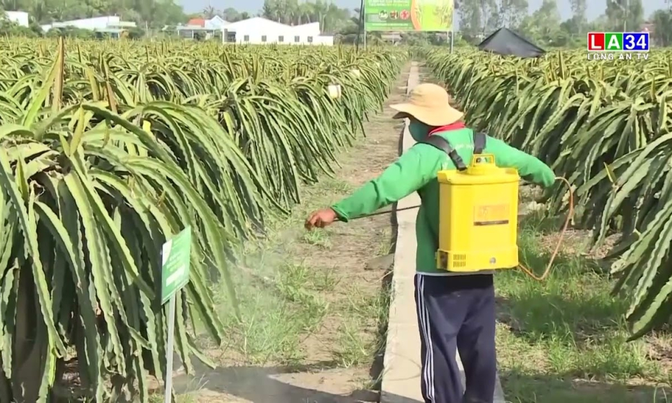 Ngân sách địa phương hỗ trợ hơn 7 nghìn lao động có việc làm ổn định