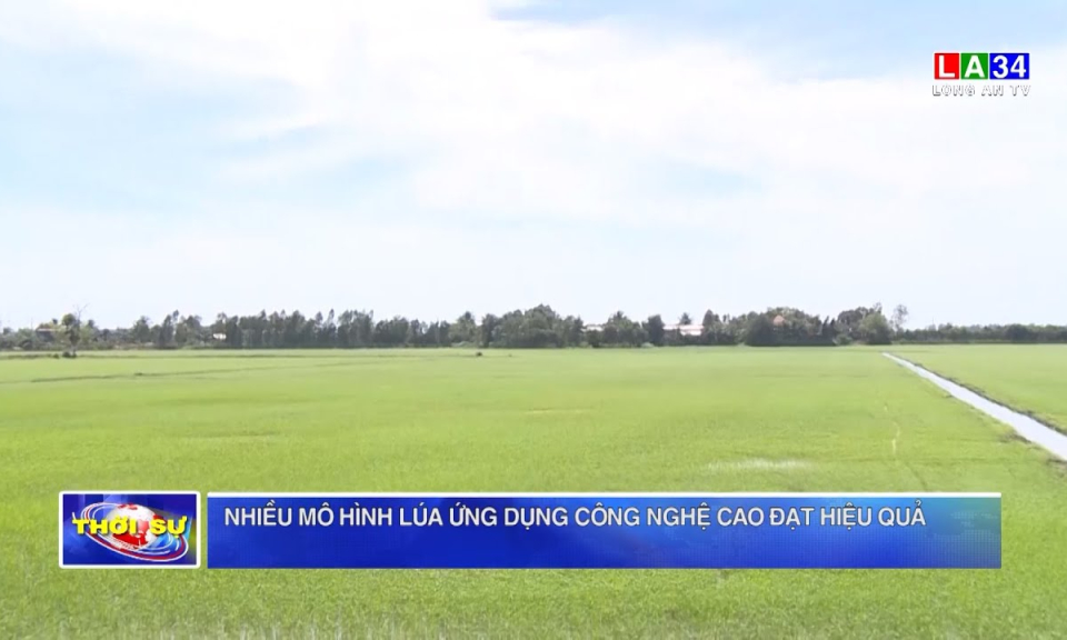 Nhiều mô hình lúa ứng dụng công nghệ cao đạt hiệu quả