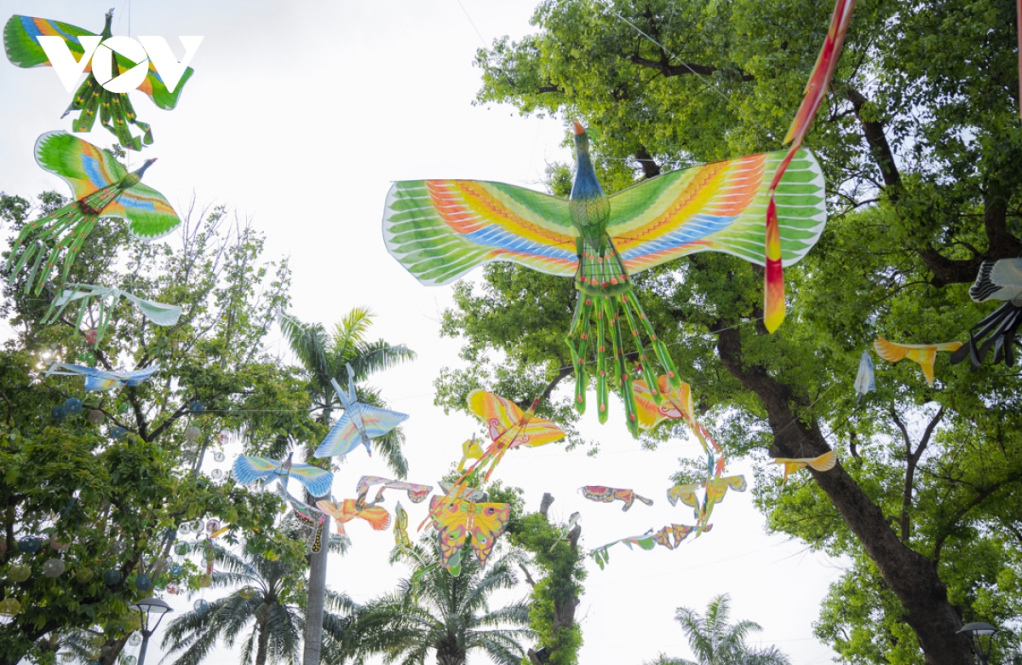 Đến với không gian trưng bày diều, người dân và du khách được chiêm ngưỡng 120 con diều với nhiều chủng loại như diều rồng, chim phượng hoàng, chim công, diều hâu, quạ, én, gà trống, bướm và cá vàng... Các con diều có chiều dài sải cánh từ 1,5 - 3m, riêng diều rồng dài 50m.