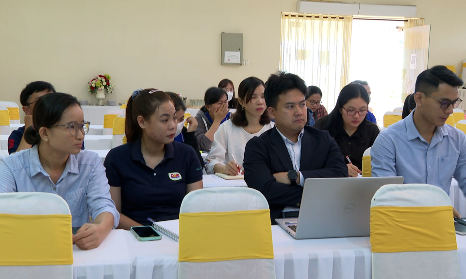 Người trồng chuối xuất khẩu tuân theo các yêu cầu kiểm dịch thực vật