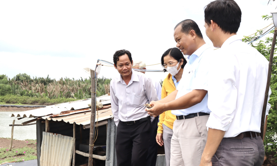 Bí thư Huyện ủy Cần Giuộc khảo sát mô hình kinh tế hiệu quả