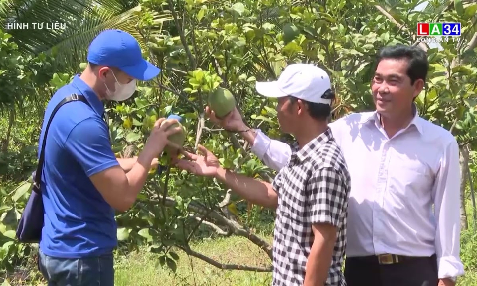 Đức Hòa từng bước kéo giảm tỷ lệ hộ nghèo