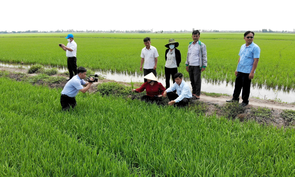 Đam mê nghề báo của phóng viên, nhà báo huyện Tân Hưng