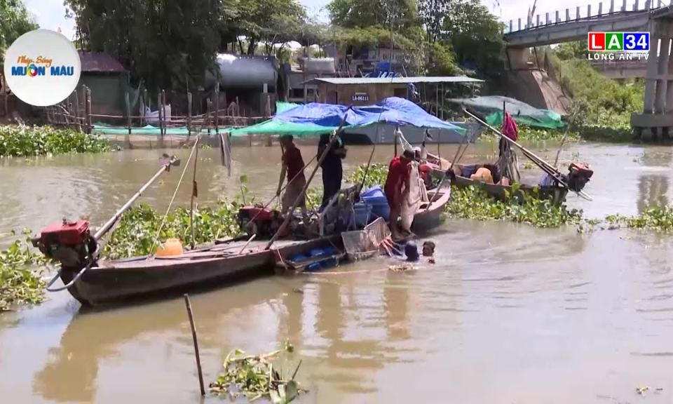 Mưu sinh dưới sông