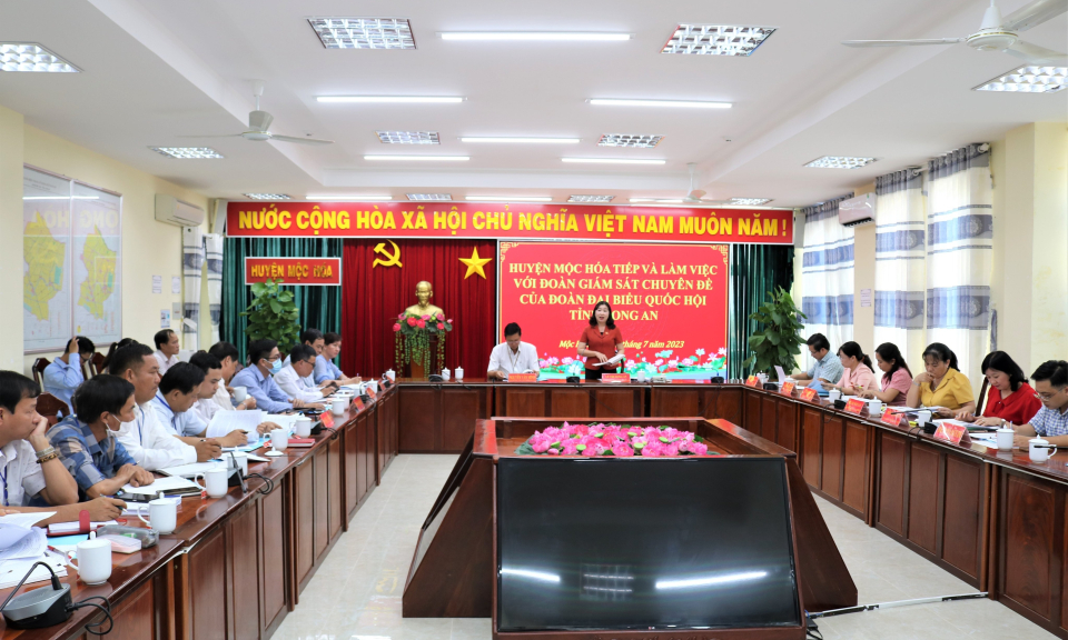 Đoàn Đại biểu Quốc hội giám sát chuyên đề tại huyện Mộc Hóa