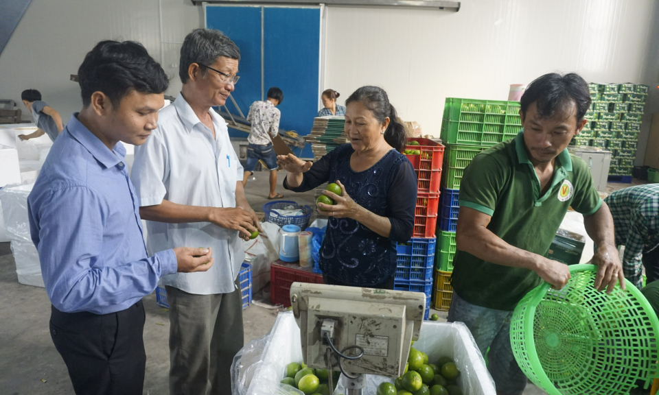 Bến Lức hỗ trợ hội viên, nông dân tiếp cận ứng dụng khoa học, công nghệ, quảng bá, tiêu thụ sản phẩm