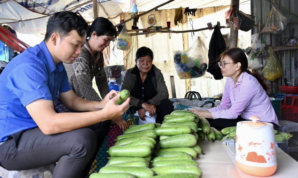 Bến Lức vay vốn trồng màu, vươn lên khá giàu
