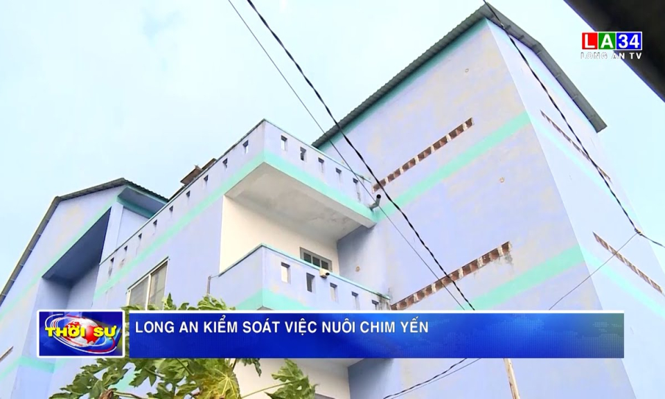 Long An kiểm soát việc nuôi chim yến