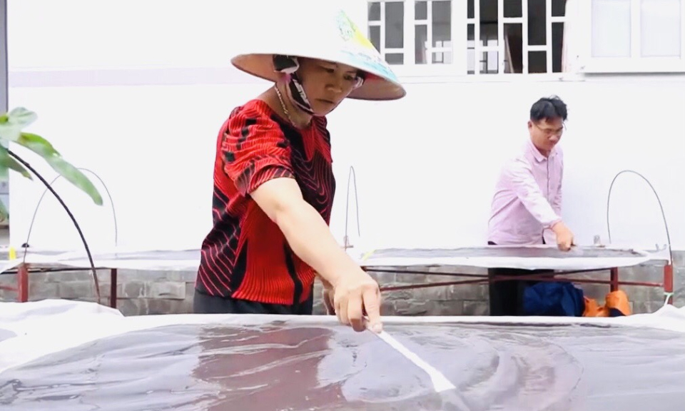 Tỉnh xét duyệt công nhận nghề truyền thống sản xuất mắm còng tại huyện Cần Giuộc