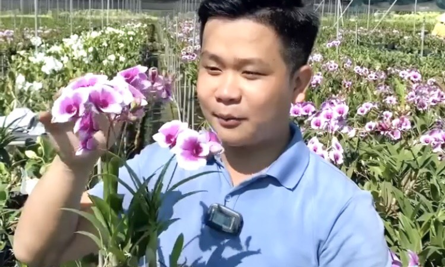 Cần Giuộc đẩy mạnh chuyển đổi số trong sản xuất nông nghiệp