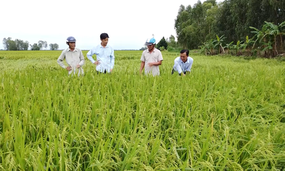 Nông dân chiếm 40% lực lượng lao động
