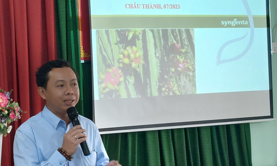 Huyện Châu Thành tập huấn quản lý bệnh đốm nâu trên cây thanh long