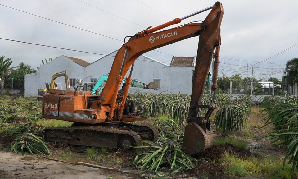 Tân Trụ thu hồi đất thực hiện dự án Khu dân cư chỉnh trang đô thị