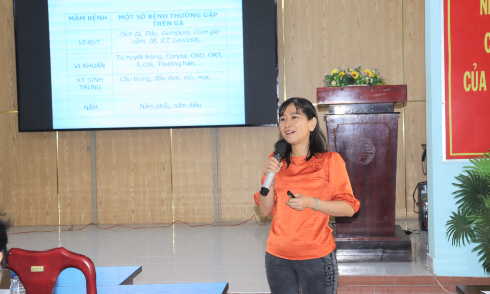Cần Đước hội thảo tình hình dịch tễ và giải pháp phòng bệnh truyền nhiễm trong chăn nuôi gà đẻ và gà thịt
