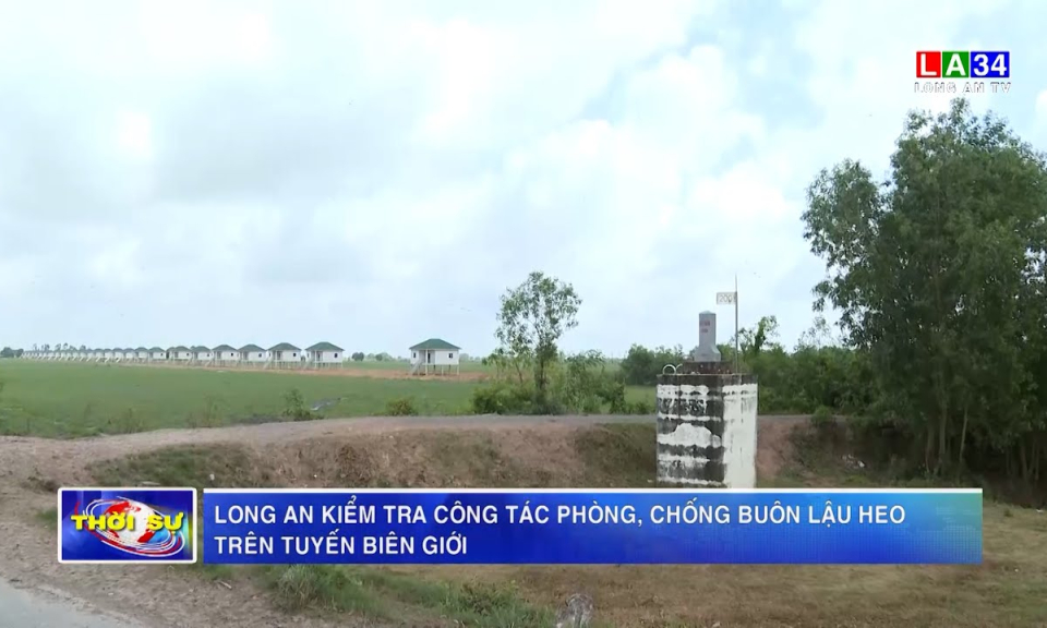 Long An kiểm tra công tác phòng, chống buôn lậu heo trên tuyến biên giới