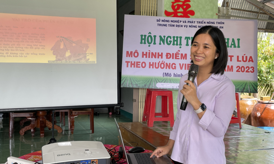 Triển khai thực hiện Mô hình điểm sản xuất lúa theo hướng VietGAP năm 2023 tại Tân Hưng