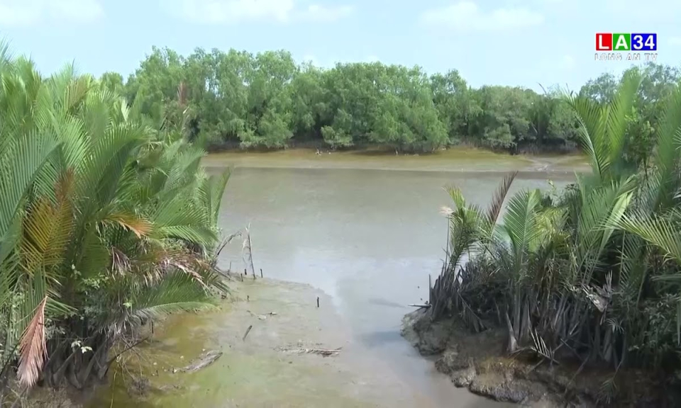 Chủ động đảm bảo an toàn đê điều mùa mưa lũ