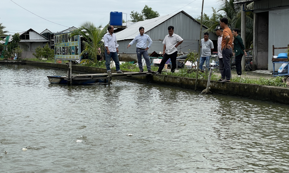 Tân Hưng: Nông dân tham quan mô hình nuôi thủy sản tại tỉnh Hậu Giang