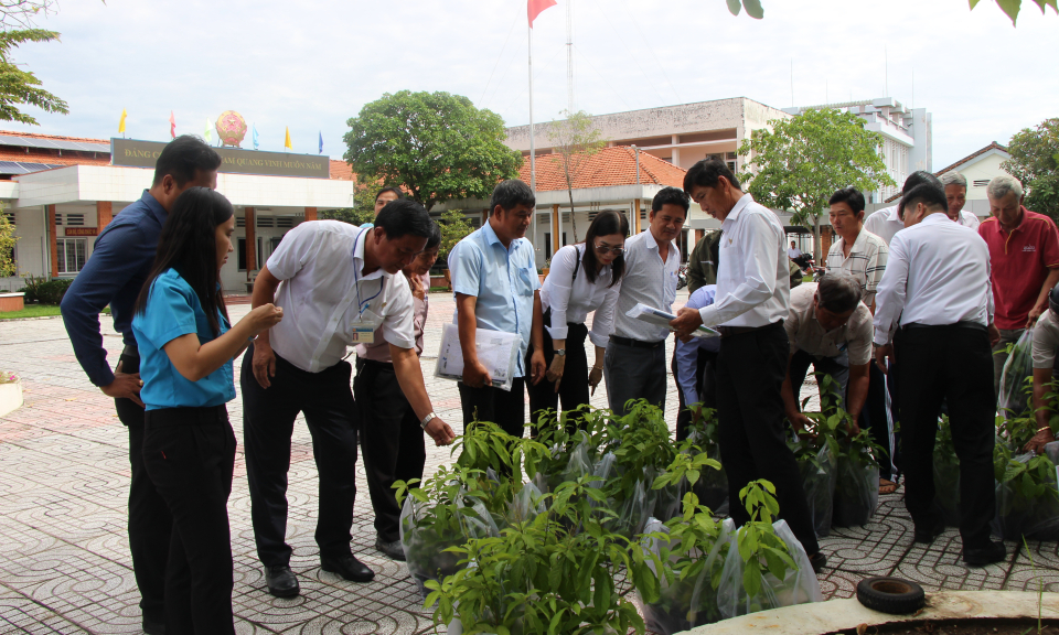 Thủ Thừa triển khai kế hoạch trồng cây Bổi chồi chương trình nông thôn mới