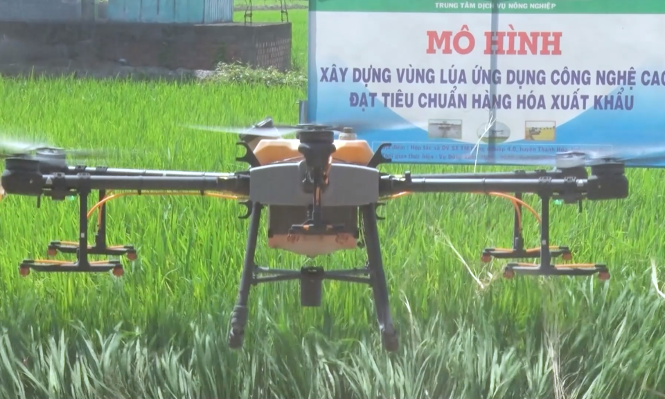 Long An có trên 47.000 hecta lúa ứng dụng công nghệ cao