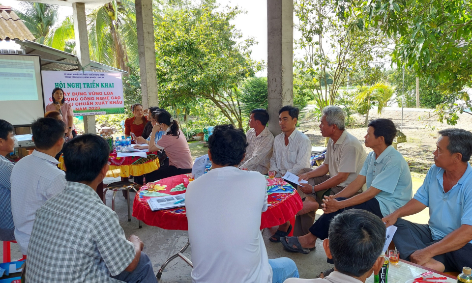 Triển khai mô hình sản xuất lúa ứng dụng công nghệ cao đạt tiêu chuẩn xuất khẩu tại Thạnh Hóa
