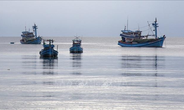 Tiền Giang: Tất cả tàu cá được lắp thiết bị giám sát hành trình