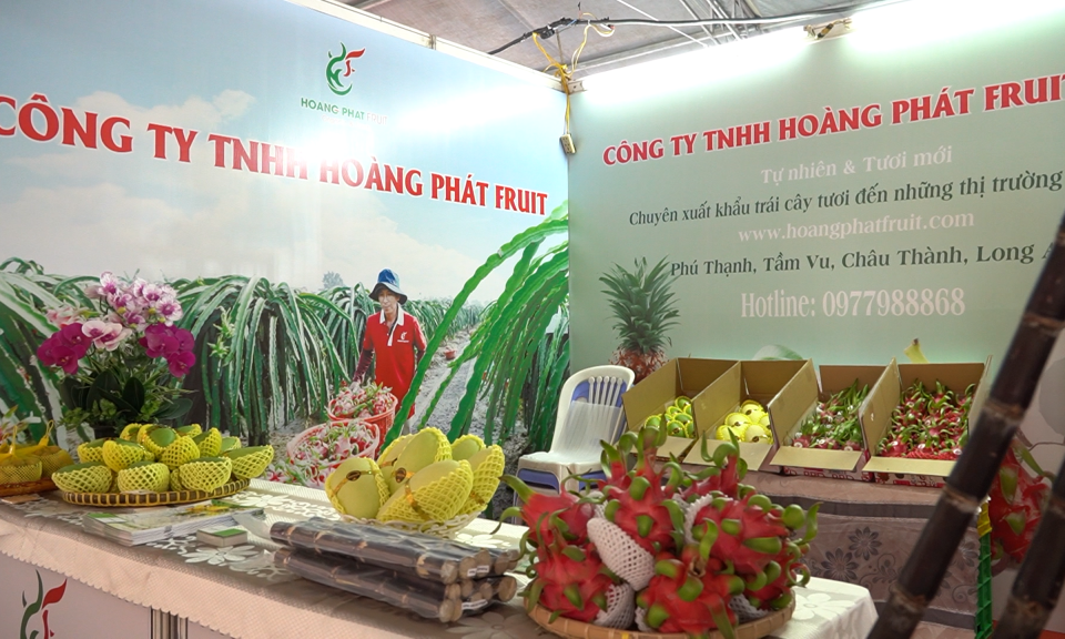 Xử lý trái cây Việt theo quy chuẩn chất lượng quốc tế