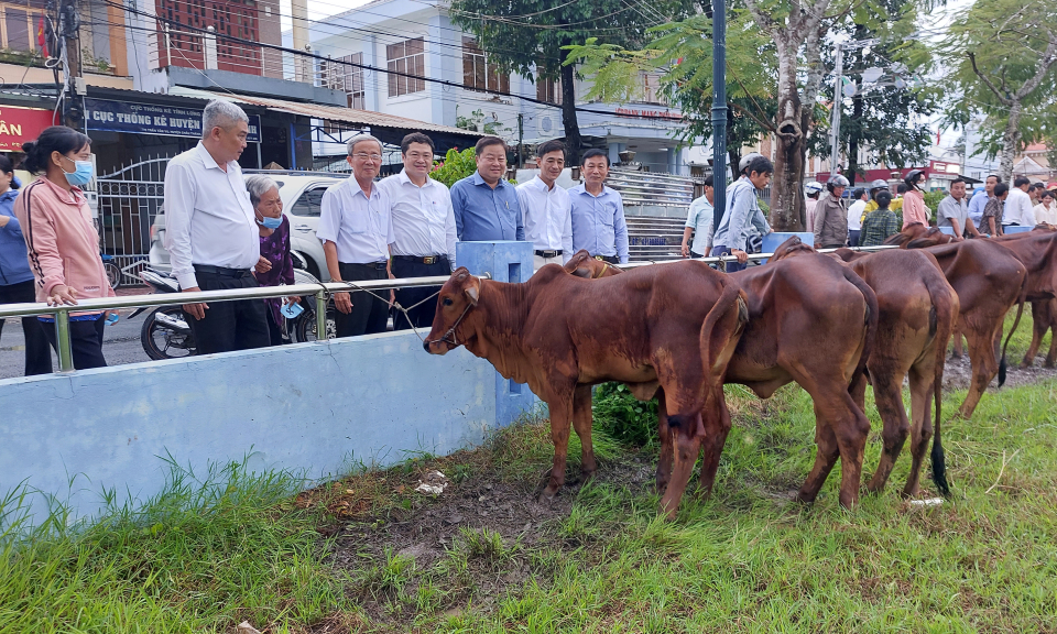 Huyện Châu Thành trao tặng bò giống cho các hộ gia đình có hoàn cảnh khó khăn