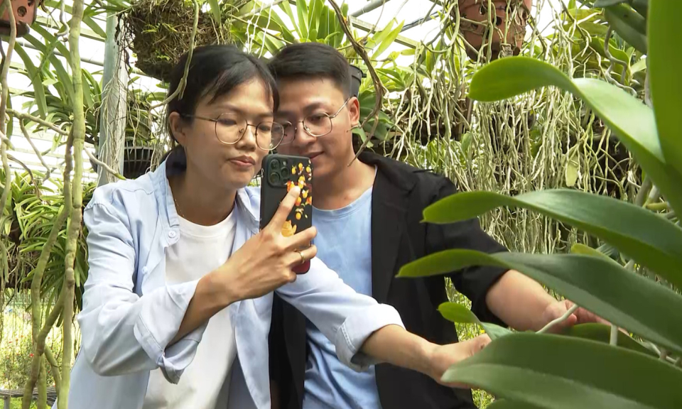 Đôi vợ chồng trẻ: Ước mơ về một vườn hoa lan