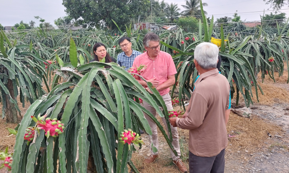 Trung ương Hội Nông Dân Việt Nam tập huấn về Liên kết nông dân - thị trường tại huyện Châu Thành