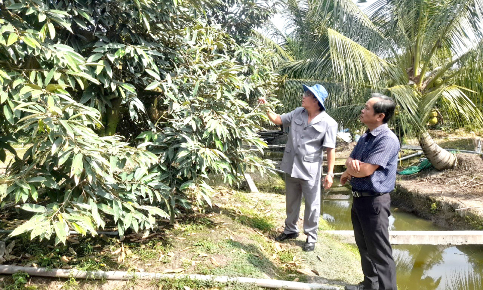 Tân Thạnh phát huy hiệu quả Quỹ hỗ trợ nông dân phát triển sản xuất